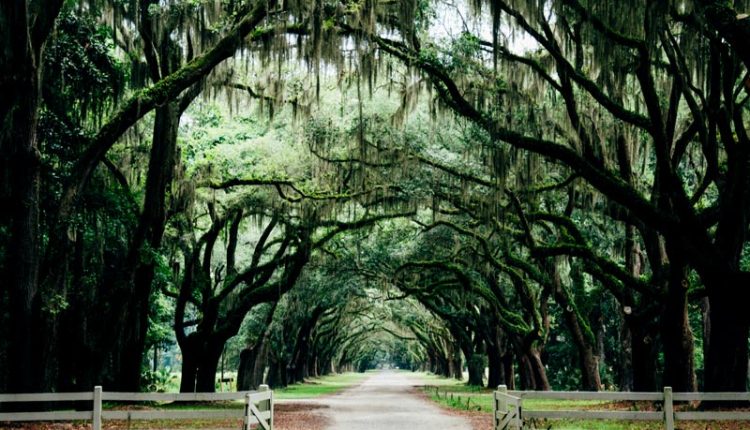 fribourg blog thumb 3